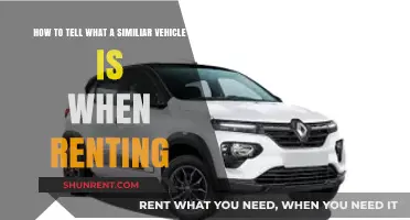 Identifying Similar Rental Vehicles: A Comprehensive Guide for Smart Renters