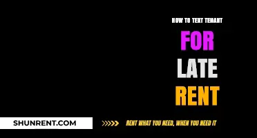 Effective Ways to Text Tenants About Late Rent Payments