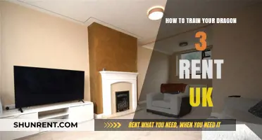 Rent How to Train Your Dragon 3 in the UK: A Guide