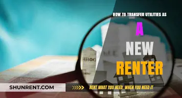 New Renter's Guide: Seamlessly Transferring Utilities to Your New Home