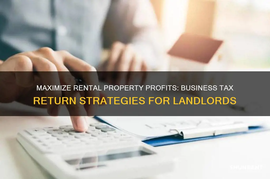 how to use business tax return dir renting