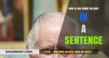 Mastering Grammar: How to Use 'Cured the Rent' in a Sentence