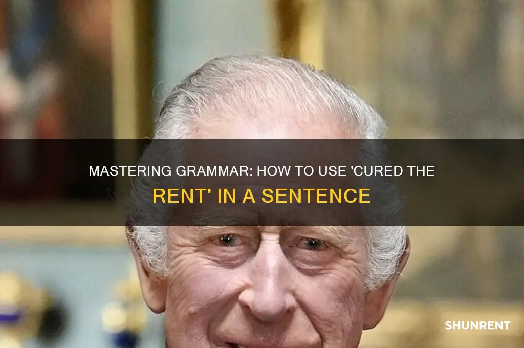 how to use cured the rent in a sentence