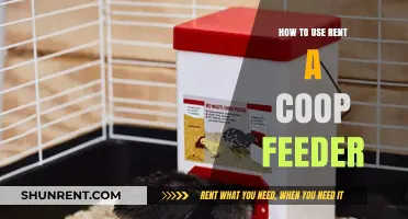 Mastering the Rent-a-Coop Feeder: Efficient Poultry Feeding Tips