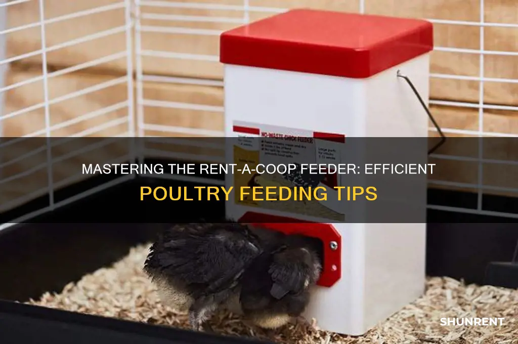 how to use rent a coop feeder