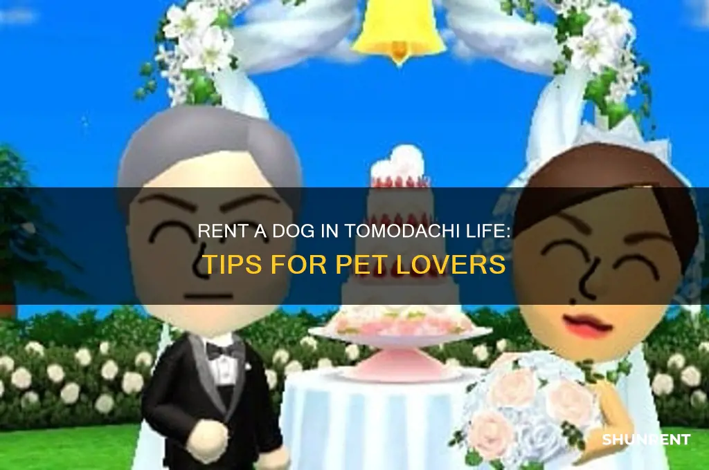 how to use rent a dog in tomodachi life