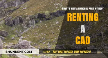 Explore National Parks Car-Free: Affordable, Eco-Friendly Adventure Tips