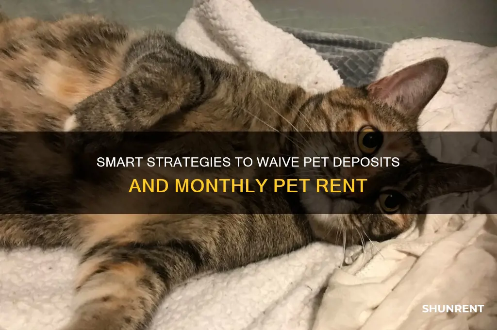 how to waive pet deposit and monthly rent