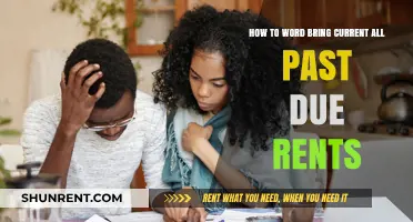 Effective Strategies to Collect Past Due Rents and Stay Current