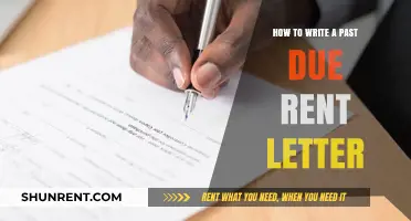 Crafting an Effective Past Due Rent Letter: A Step-by-Step Guide