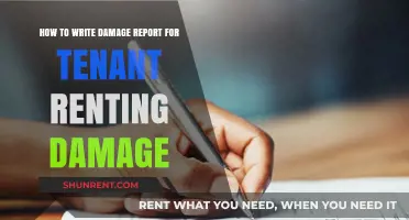 Tenant Damage Reporting: Crafting Accurate and Effective Reports for Landlords