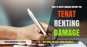 Writing a Damage Report: A Tenant's Guide to Documenting Rental Damage