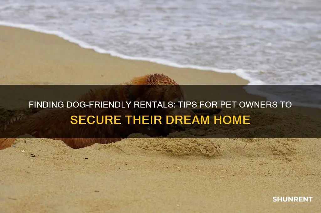 how to yoi cond olaces to rent that except dogs
