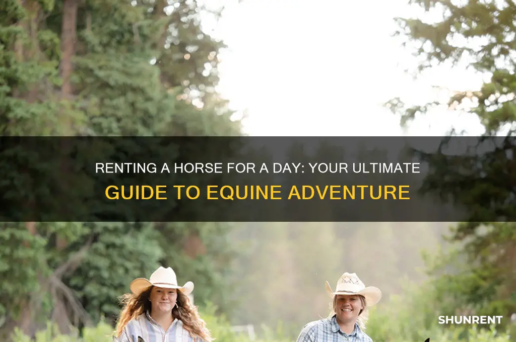 how to you rent a horse for the day