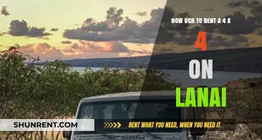 Renting a 4x4 on Lanai: Cost Guide for Adventure Seekers