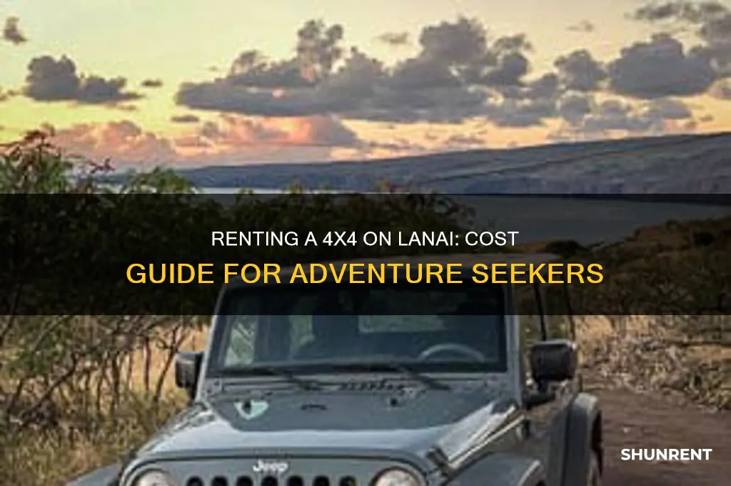 how uch to rent a 4 x 4 on lanai