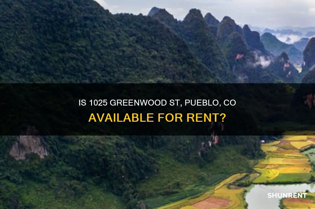 is 1025 greenwood st pueblo co for rent