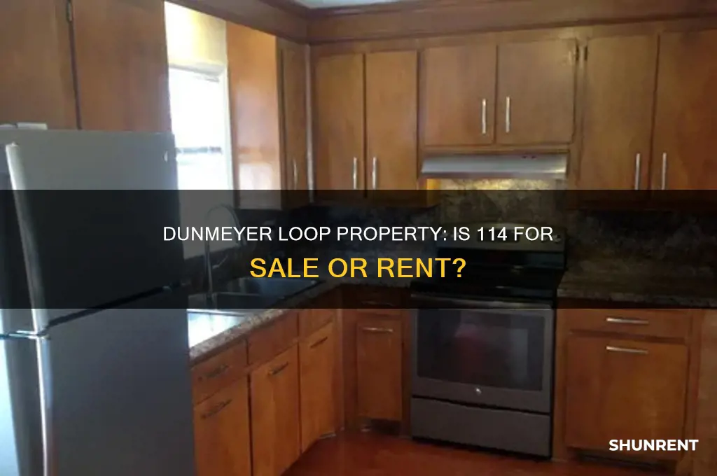 is 114 dunmeyer loop for sale or rent