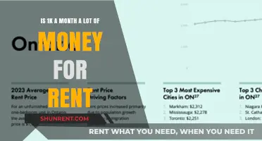 Is $1,000 Monthly Rent Affordable or Overpriced for You?