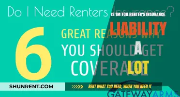 Is $1 Million in Renter's Insurance Liability Coverage Excessive?