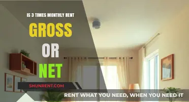 Gross or Net: Understanding 3x Monthly Rent Calculations for Tenants