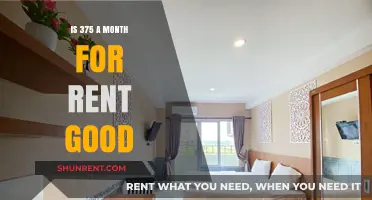 Is $375 Monthly Rent Affordable? Pros, Cons, and Considerations
