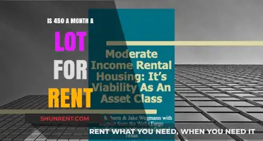 Is $450 Monthly Rent Affordable or Excessive? Let's Analyze