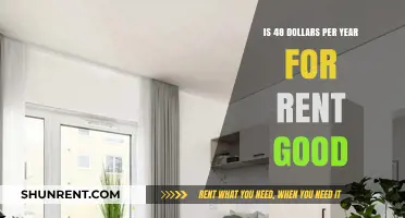 Is $48 Annual Rent a Steal or Unrealistic Deal?