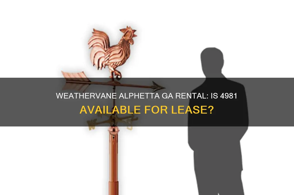 is 4981 weathervane alphetta ga for rent