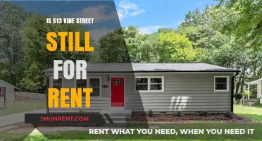 Vine Street Rental Update: Is 513 Still Available for Rent?
