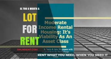 Is $700 Monthly Rent Affordable or Excessive? Let's Analyze