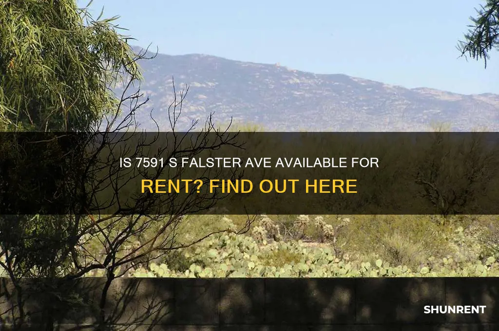 is 7591 s falster ave for rent