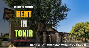 Exploring Tonir: Is 933B Via Torrefor Available for Rent?