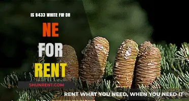 Is 9433 White Fir Dr NE Available for Rent?