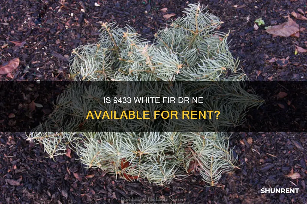 is 9433 white fir dr ne for rent