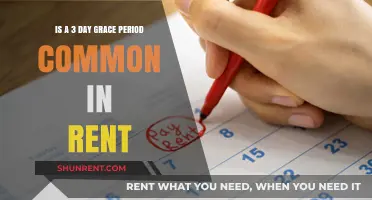 Is a Grace Period for Rent Payments Standard Practice?