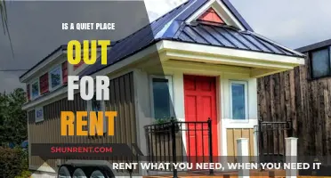 Finding Serenity: Is a Quiet Place Out for Rent?