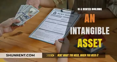 Is a Rented Building an Intangible Asset? Exploring Accounting Principles