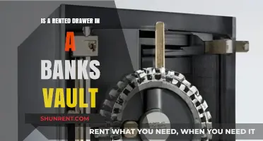 Is a Rented Bank Vault Drawer the Ultimate Secure Storage Solution?