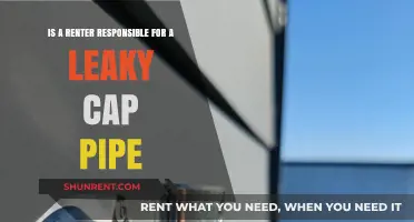 Leaky Cap Pipe: Who's Responsible, Renter or Landlord?