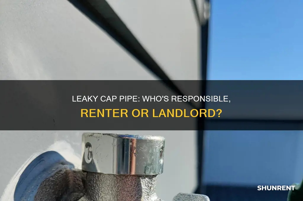 is a renter responsible for a leaky cap pipe
