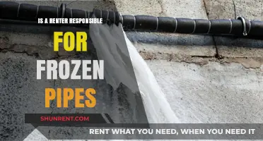 Frozen Pipes: Who's Responsible, the Renter or Landlord?