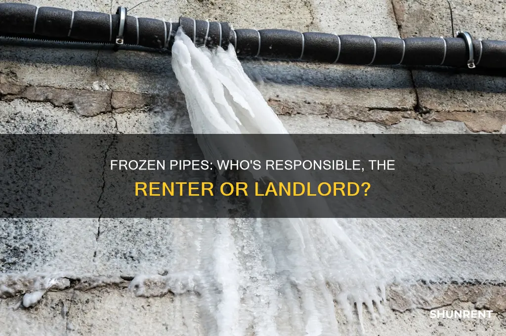 is a renter responsible for frozen pipes