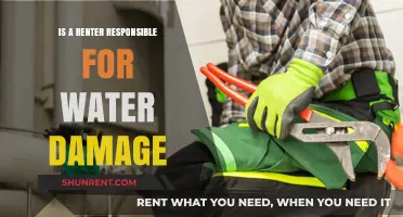 Who's Liable for Water Damage: Renter or Landlord?