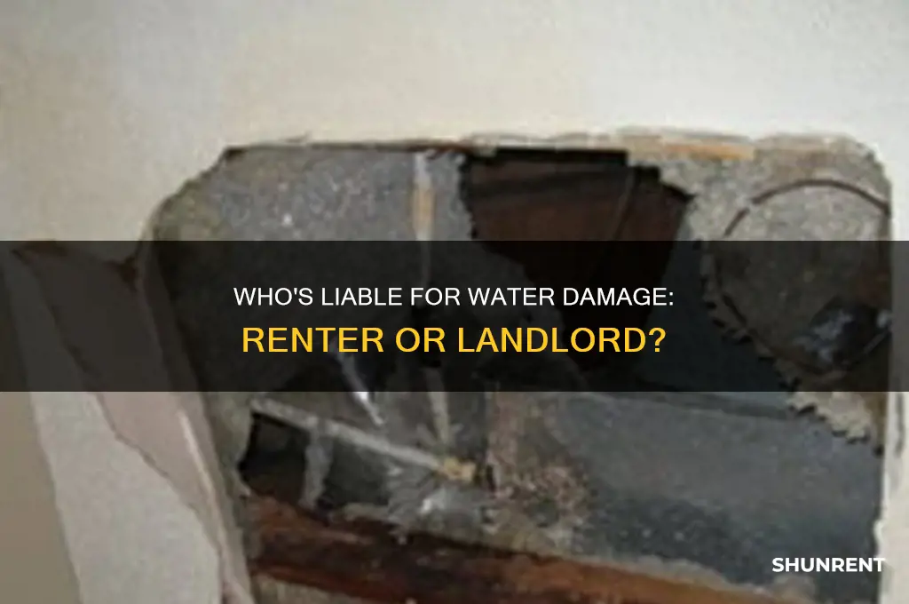 is a renter responsible for water damage