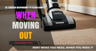 Moving Out: Are Renters Obligated to Clean Carpets Before Leaving?