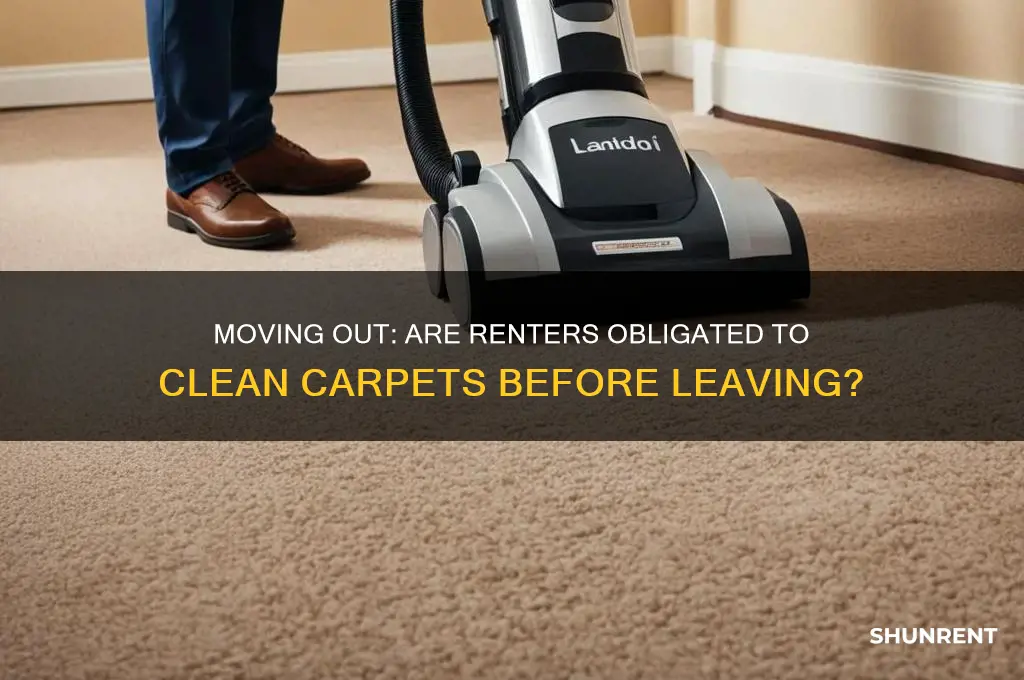 is a renter responsible to clean carpets when moving out