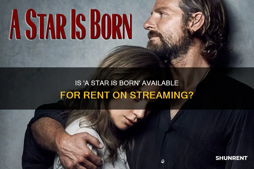 is a star is born available to stream for rent