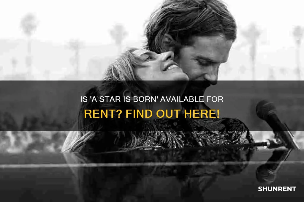 is a star is born for rent