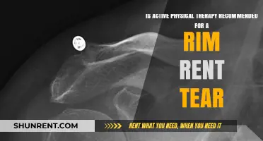 Active Physical Therapy for Rim Rent Tear: Benefits and Recommendations